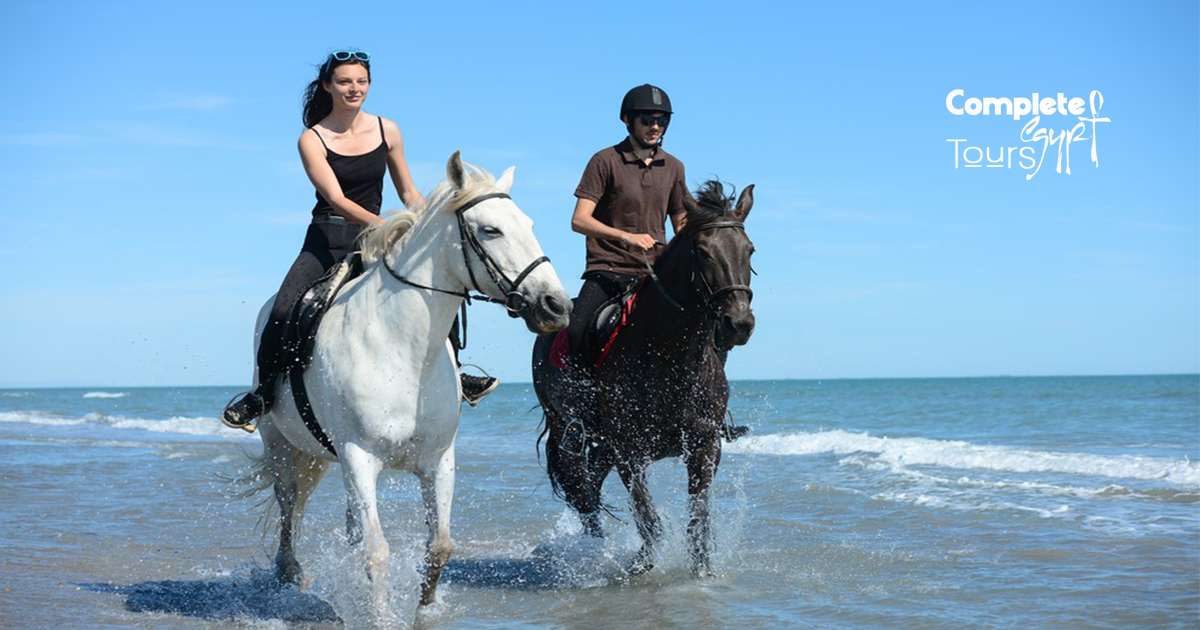 Horse Riding Hurghada