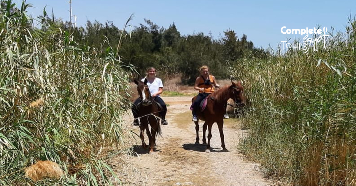 Horse Riding in Hurghada