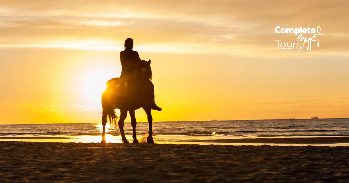 Horse Riding in el gouna