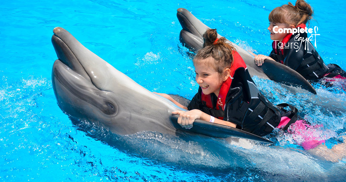 Swimming with Dolphins Hurghada